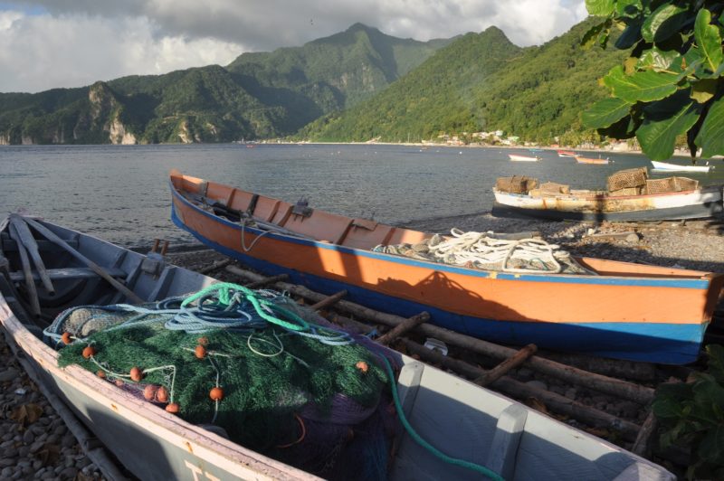 “L’île de la Dominique, joyau des Caraïbes” de Pierre-Marie Hubert – Ciné-Auteur Terre d’Horizons – Samedi 13 avril 17h – Théâtre Cornillon